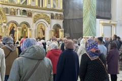 IMG_7342-2