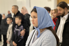 IMG_8833
